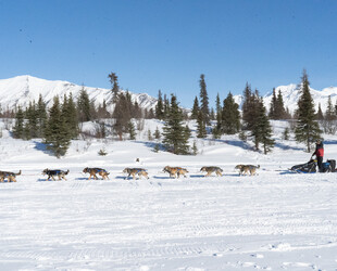 SLEDDING ON ULTRA-SMOOTH, PERPETUALLY-FROZEN SANDS